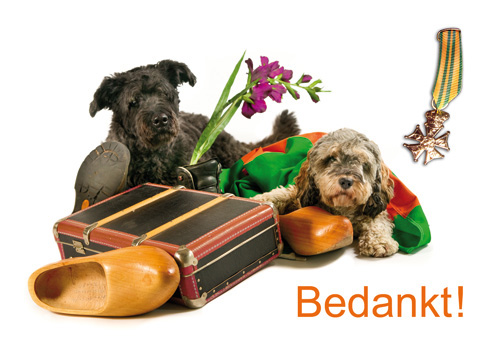 4daagsekaart om het thuisfront te bedanken of voor het logeeradres.